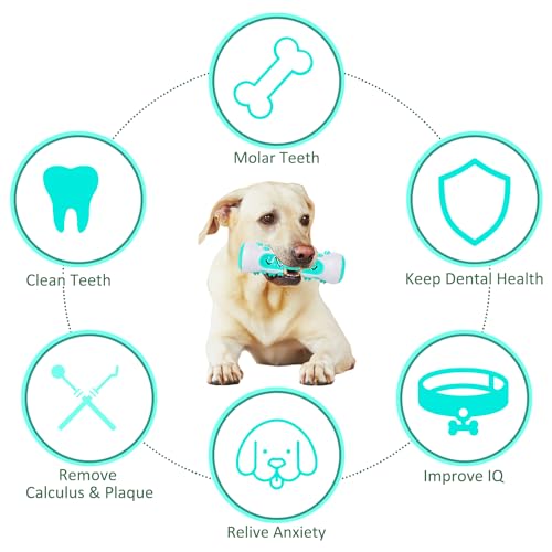 Pooch Chew Interactive Dental Entertainment Toy