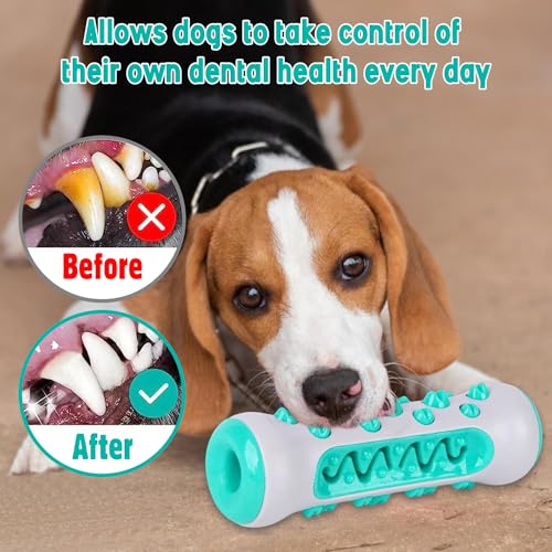 Pooch Chew Interactive Dental Entertainment Toy