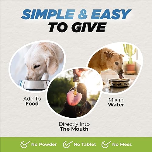 Natural Dog Joint Pain Relief Formula - Organic, Safe