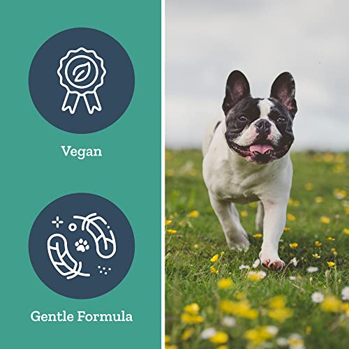 Dog Pancreas & Liver Support - Natural Immune Boost