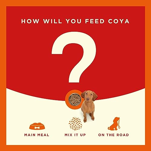 COYA Turkey Freeze-Dried Raw Dog Food