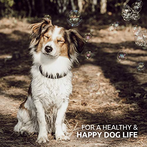 AniForte BARF Complete - Natural Dog Supplement