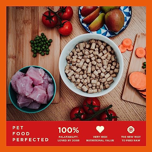 COYA Turkey Freeze-Dried Raw Dog Food