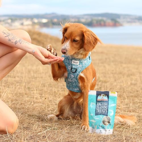 SKIPPER'S 500g Dog Training Treats - Omega 3, Grain Free, Digestive, Natural