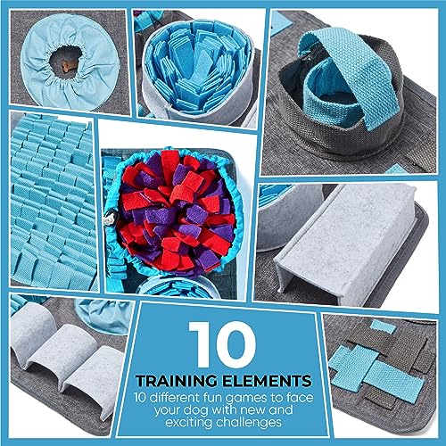 Interactive Snuffle Mat: 10 Fun Feeding Puzzles