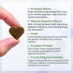 VITABIA Probiotics for Dogs - Gut Health, Anal Glands, Skin Relief (120 Chews)
