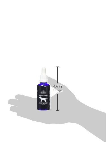 Denes Bladder Support for Dogs - 50ml