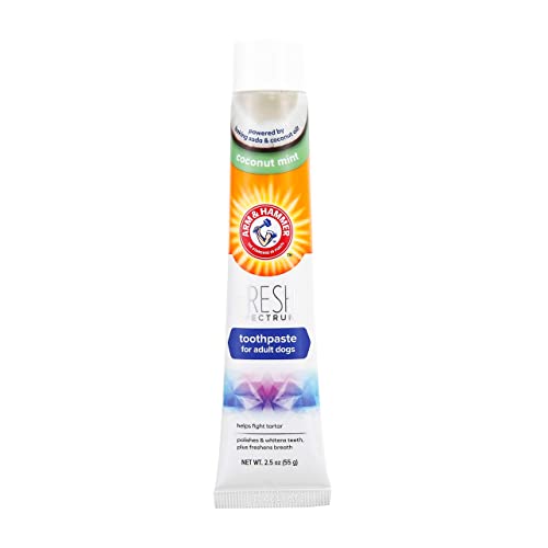 Coconut Mint Dog Toothpaste for Best Dental Care
