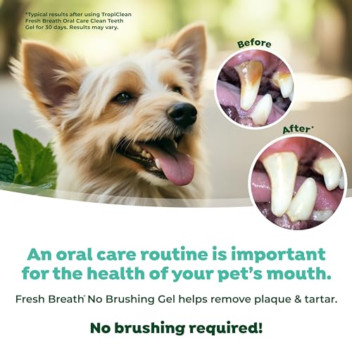 TropiClean Fresh Breath Dog Teeth Cleaning Gel