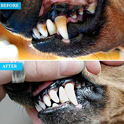ZOVIRA Dental Plaque Remover for Dogs & Cats