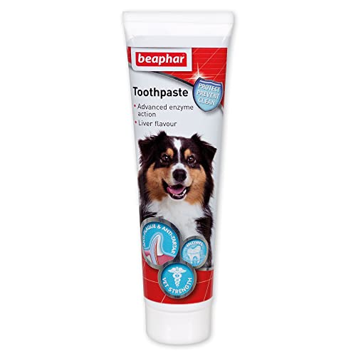 Beaphar Dual-Enzyme Toothpaste | Dental Care for Dogs