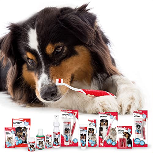 Beaphar Dual-Enzyme Toothpaste | Dental Care for Dogs