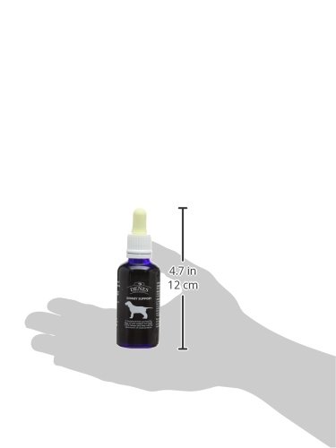 Denes Kidney Support for Dogs (50ml)