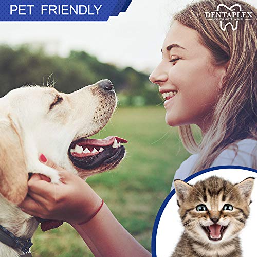 Dentaplex Dental Care Kit: Teeth Cleaning, Whitening, Plaque Removal