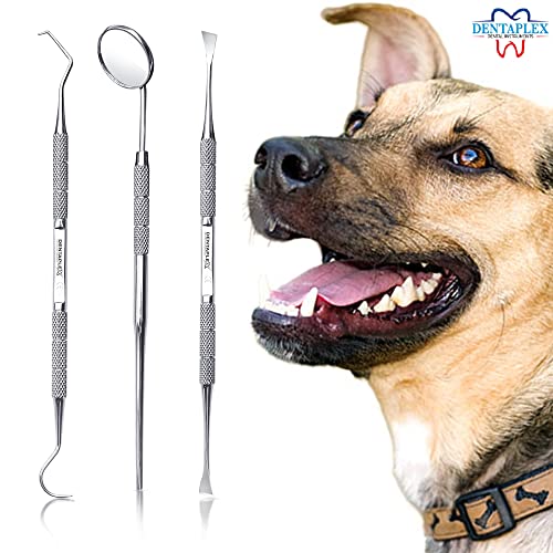 Dentaplex Dental Care Kit: Teeth Cleaning, Whitening, Plaque Removal