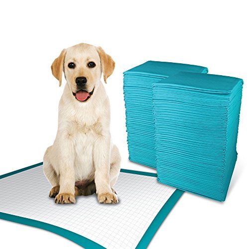 Large Size Pack of 50 Puppy Training Pads