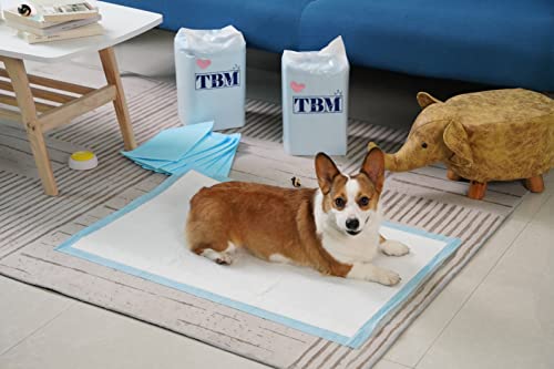 Large Size Pack of 50 Puppy Training Pads