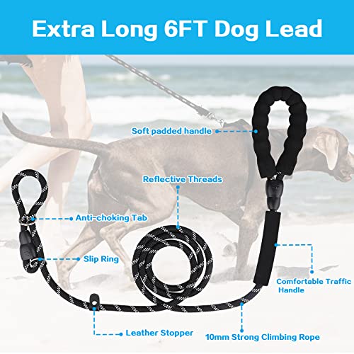 Dog Leashes with Slip Collar, Padded Handle - Black