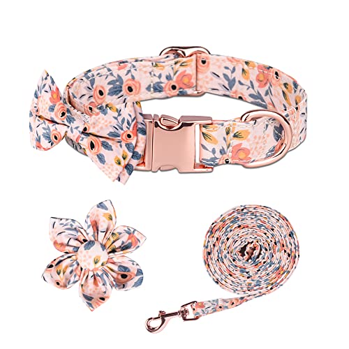 Adjustable Dog Bowtie Collar & Leash Set