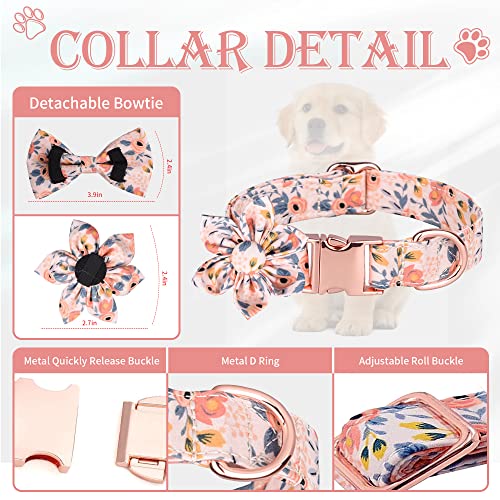 Adjustable Dog Bowtie Collar & Leash Set