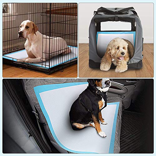Large Size Pack of 50 Puppy Training Pads