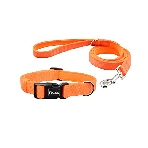 Orange Neoprene Collar and Leash Set for Medium Dogs