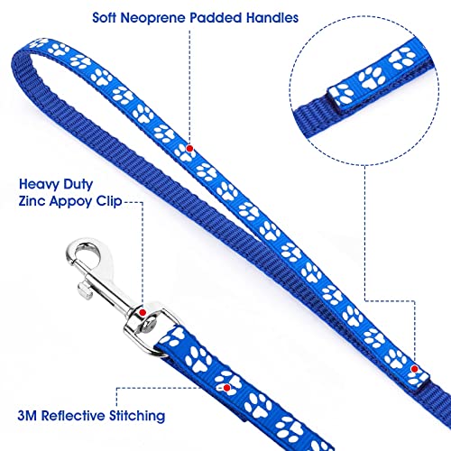 Adjustable Dog Cat Collar and Leash Set