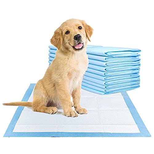 Super Absorbent Puppy Training Pads, 30-Pack