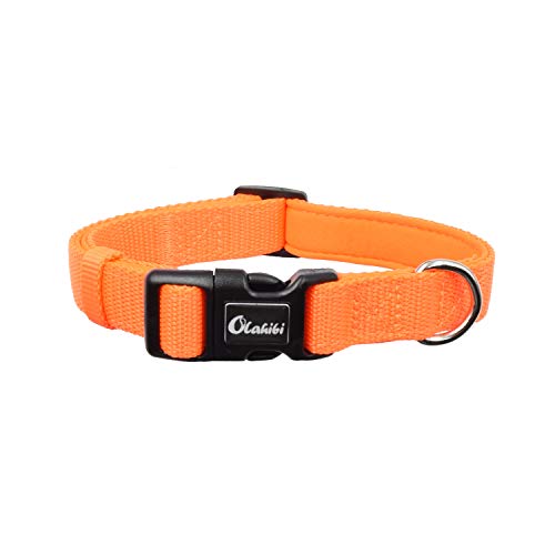 Orange Neoprene Collar and Leash Set for Medium Dogs