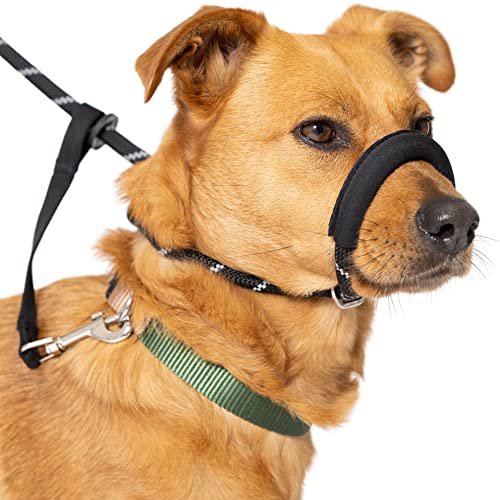 Anti-Pull Figure-8 Dog Lead with Padded Nose Support