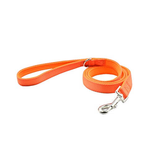 Orange Neoprene Collar and Leash Set for Medium Dogs