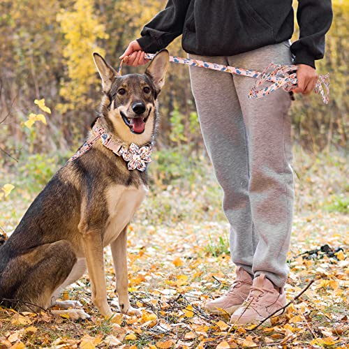 Adjustable Dog Bowtie Collar & Leash Set