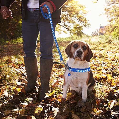 Adjustable Dog Cat Collar and Leash Set