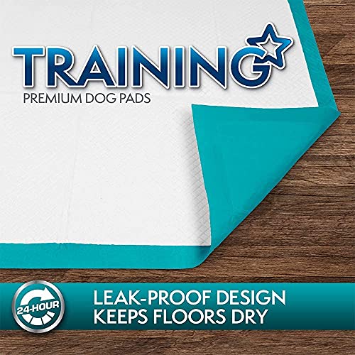 Premium Puppy Training Pads - Pack of 100