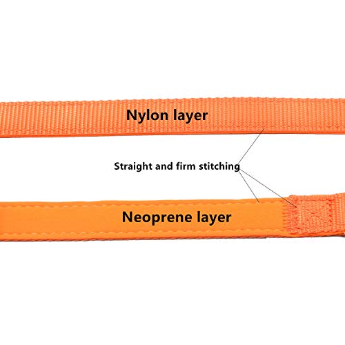 Orange Neoprene Collar and Leash Set for Medium Dogs
