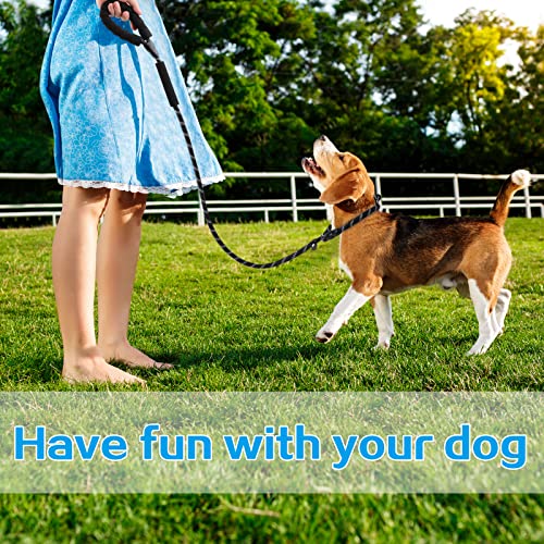 Dog Leashes with Slip Collar, Padded Handle - Black