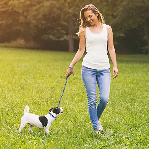 Adjustable Dog Cat Collar and Leash Set