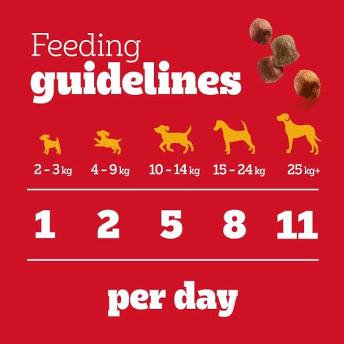 8-Pk Pedigree Tasty Minis - Chewy Chicken-Duck Dog Treats