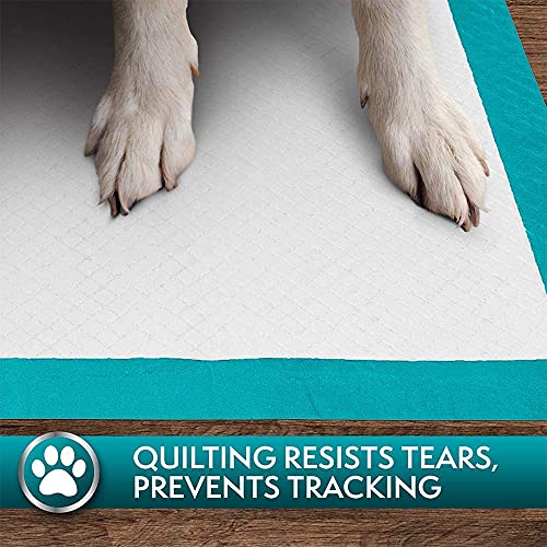 Premium Puppy Training Pads - Pack of 100