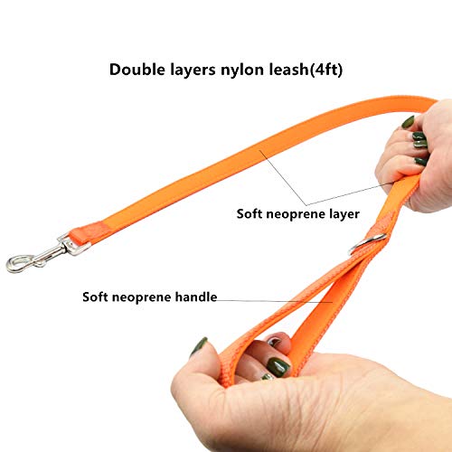Orange Neoprene Collar and Leash Set for Medium Dogs