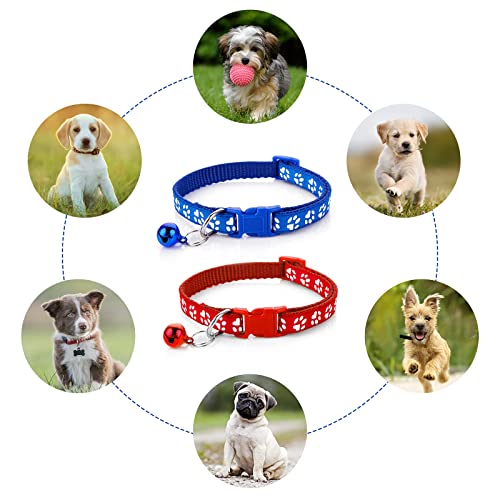 Adjustable Dog Cat Collar and Leash Set