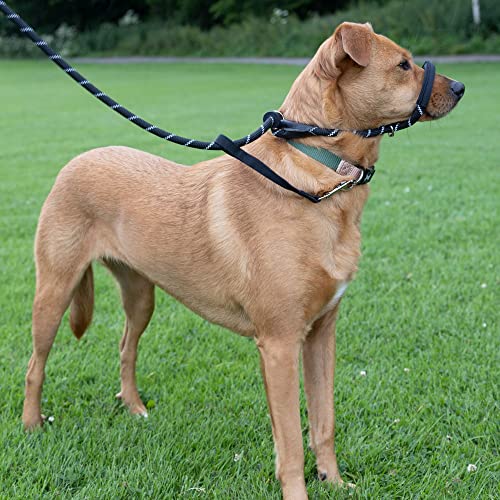 Anti-Pull Figure-8 Dog Lead with Padded Nose Support