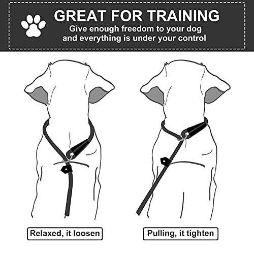 Durable Red Nylon Slip Lead for Small/Medium Dogs