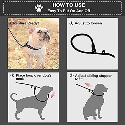 Durable Red Nylon Slip Lead for Small/Medium Dogs