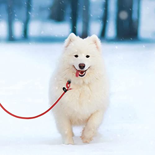 Durable Red Nylon Slip Lead for Small/Medium Dogs