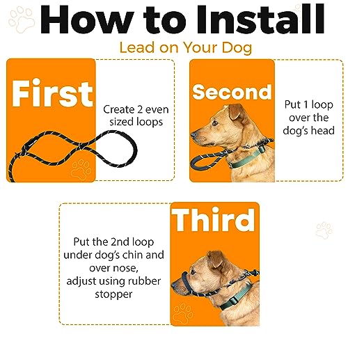 Anti-Pull Figure-8 Dog Lead with Padded Nose Support