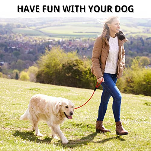 Durable Red Nylon Slip Lead for Small/Medium Dogs