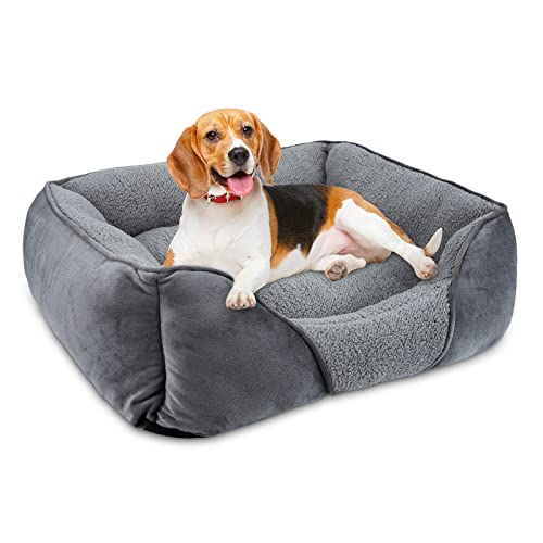 Soft Grey Rectangle Dog Bed for Medium-sized Dogs