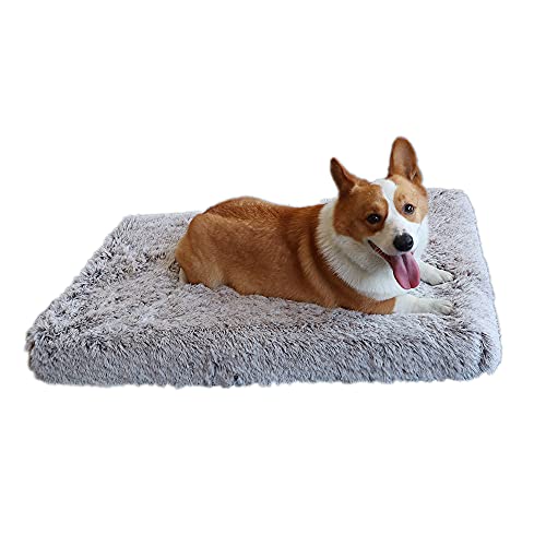 TMbsfatn Memory Foam Orthopedic Dog Bed (75-50-10CM)