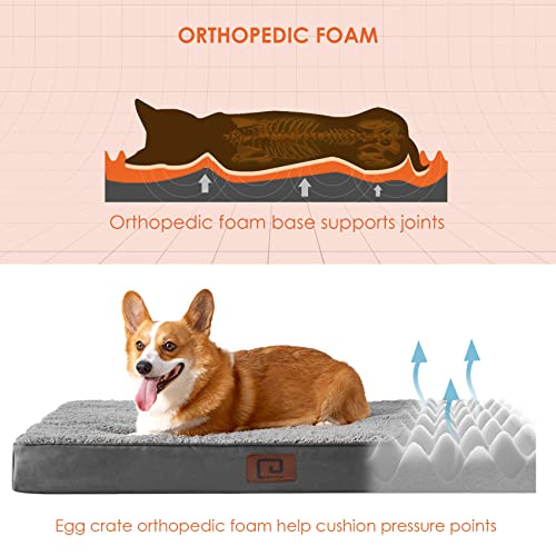 Orthopedic Dog Bed: Large, Removable Washable Cover, Grey